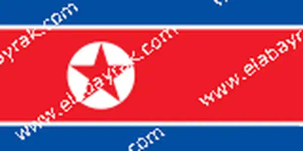 Kuzey Kore bayra